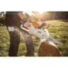 Stihl Battery Operated 14" Chainsaw