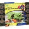 Jiffy Tomato Starter Greenhouse 1 Jiffy Tomato Starter Greenhouse -Garden Tools Shop 2072005 01 33137.1673454435