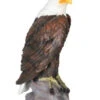 Exhart 24in. Majestic Bald Eagle Garden Statue 1 Exhart 24in. Majestic Bald Eagle Garden Statue -Garden Tools Shop 2184540 03 38101.1673454854