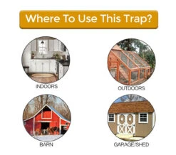 Rinne Traps Flip-N-Slide Mouse Trap 11 Rinne Traps Flip-N-Slide Mouse Trap -Garden Tools Shop 2526665 4 65648.1633986625