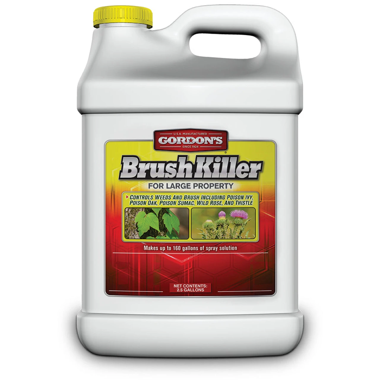 Gordon's Brush Killer For Large Property- 2.5 Gallon 3 Gordon's Brush Killer For Large Property- 2.5 Gallon