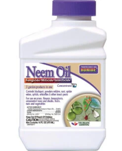 Bonide Neem Oil Fungicede, Miticide And Insecticide Concentrate - 16oz. 7 Bonide Neem Oil Fungicede, Miticide And Insecticide Concentrate - 16oz. -Garden Tools Shop 90052977 01 70921.1630130325