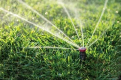 Rain Bird 17ft-14ft Mini Rotor Adjustable Sprinkler -Garden Tools Shop 93020732 3 93825.1650998934